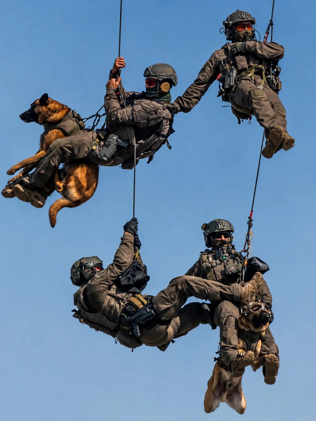 Tactical K9 team fast-roping from helicopter